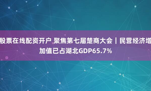 股票在线配资开户 聚焦第七届楚商大会｜民营经济增加值已占湖北GDP65.7%