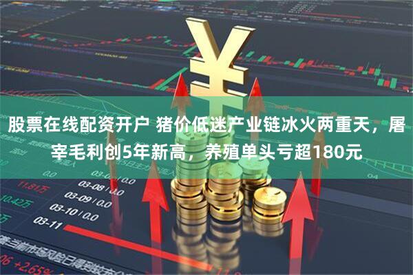 股票在线配资开户 猪价低迷产业链冰火两重天，屠宰毛利创5年新高，养殖单头亏超180元