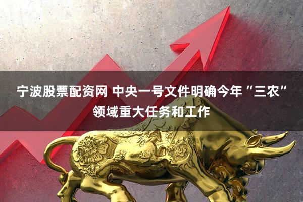 宁波股票配资网 中央一号文件明确今年“三农”领域重大任务和工作